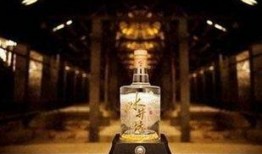 水井坊员工爆料事件视频,揭开企业内部惊人真相