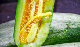 网红吃瓜免费入口在哪里,独家攻略大公开