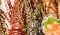 日料鳌虾爆料视频,网红视频背后的真实口感与价格揭秘