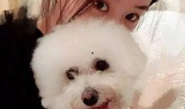 王一博感情最新资源爆料,神秘恋情曝光，真相即将揭晓