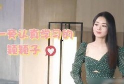 狗哥爆料赵丽颖视频播放,揭秘明星幕后生活片段